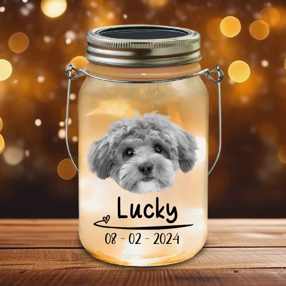 Custom Photo You Would Have Lived Forever Memorial Mason Jar Light LM32 893161 - Image 8