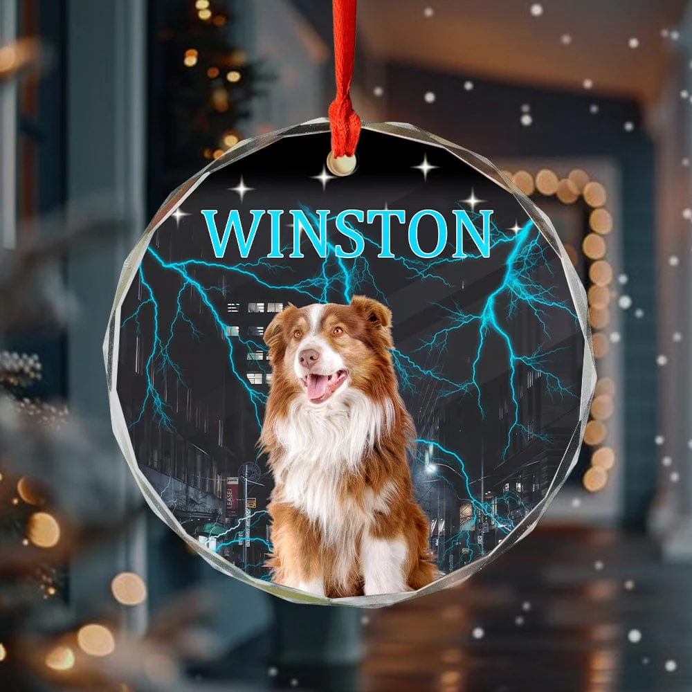 Custom Portrait Photo With Retro Style Glass Ornament For Dog Lovers HA75 891855 - Image 3