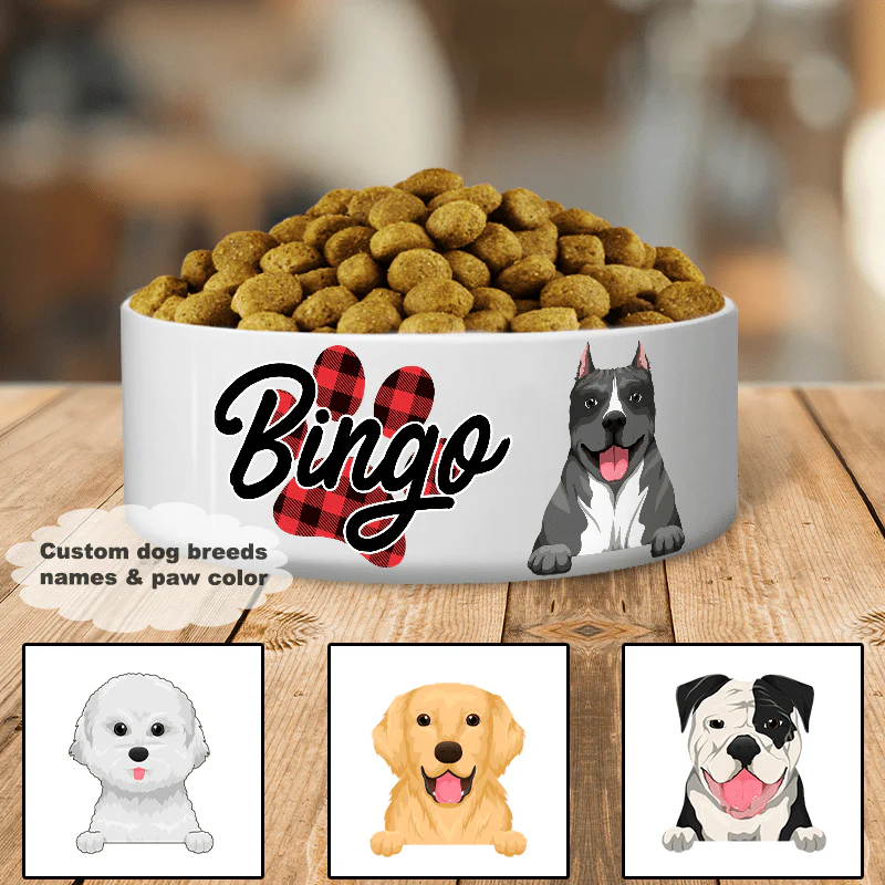 Custom Fun Dog Bowl