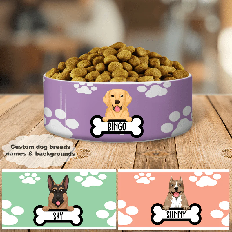Colorful Paws Dog Bowl