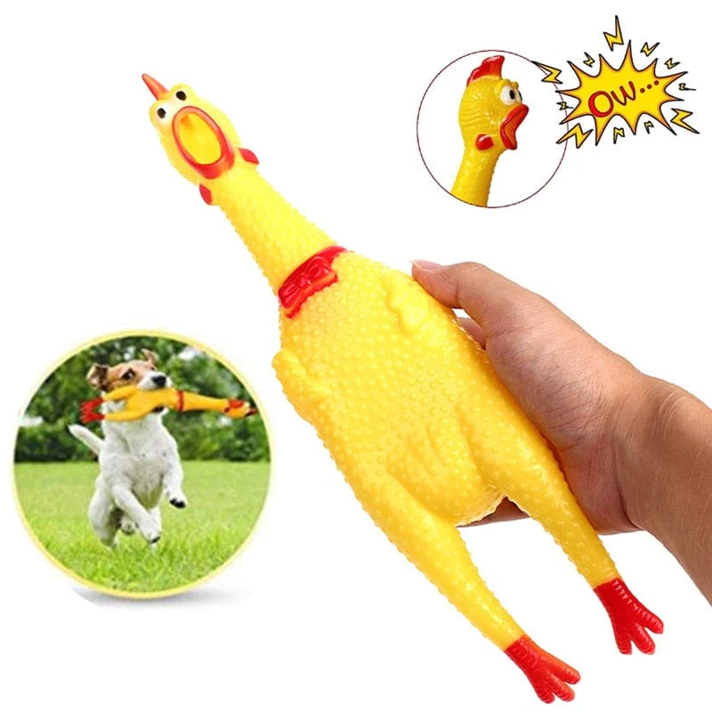 Screaming Chicken Squeeze Sound Dog Chew Toy