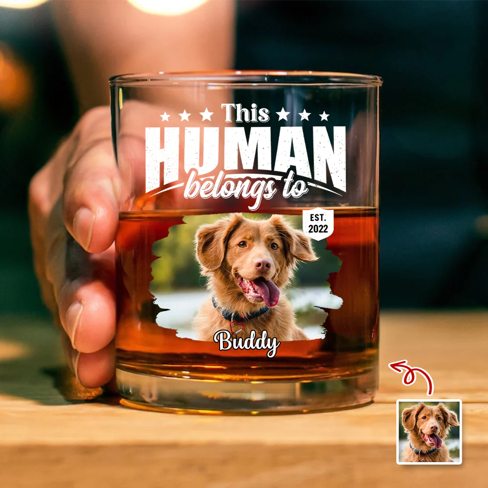Custom Dog Cat Photo This Human Belongs To Rock Glass - Personalized Pet Lover Gift HA75 921368 - Image 2
