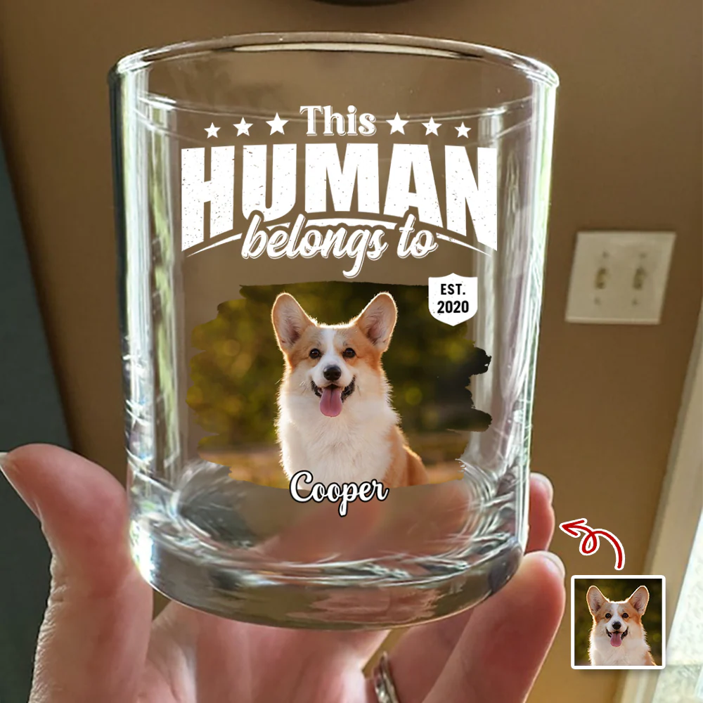 Custom Dog Cat Photo This Human Belongs To Rock Glass - Personalized Pet Lover Gift HA75 921368 - Image 3