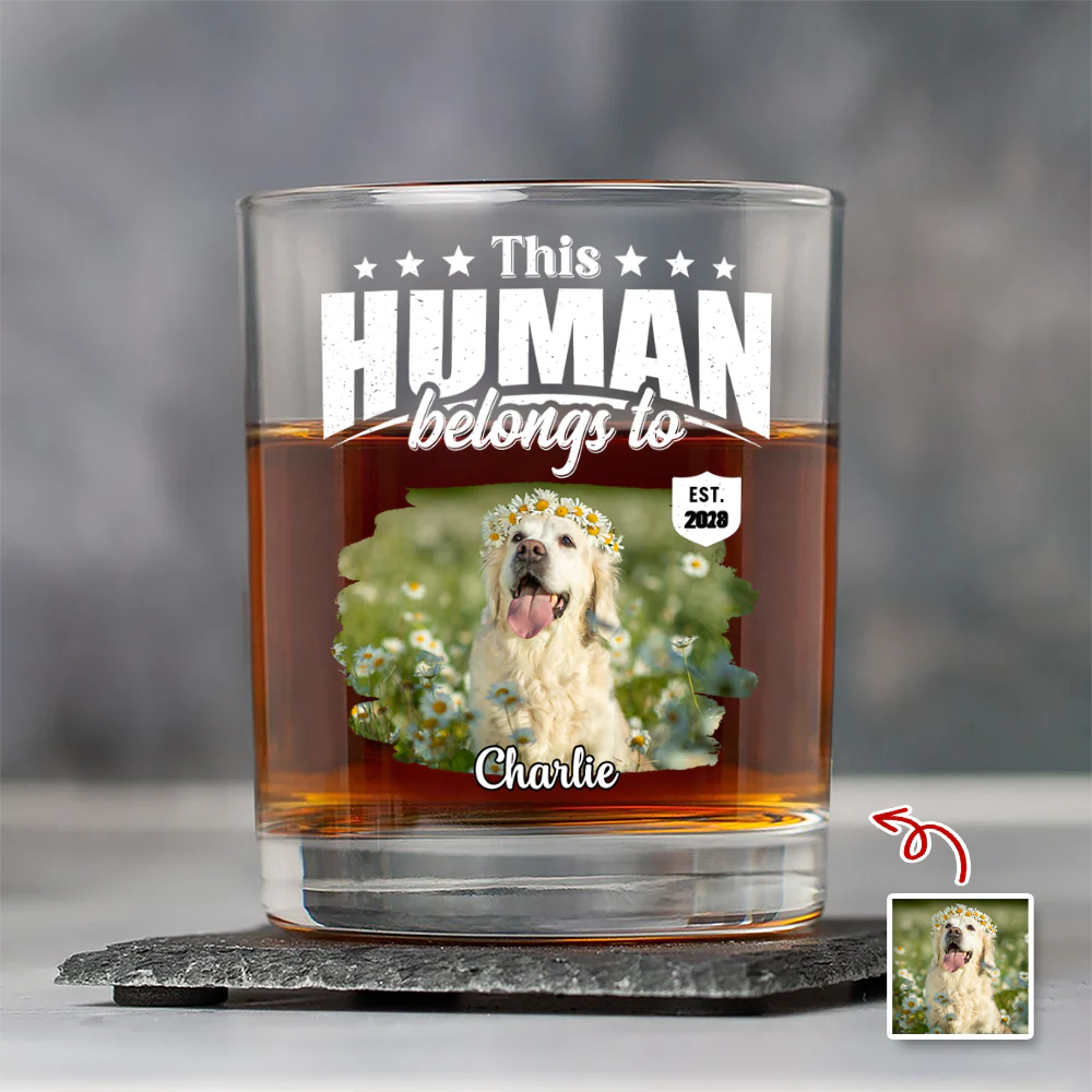 Custom Dog Cat Photo This Human Belongs To Rock Glass - Personalized Pet Lover Gift HA75 921368 - Image 4