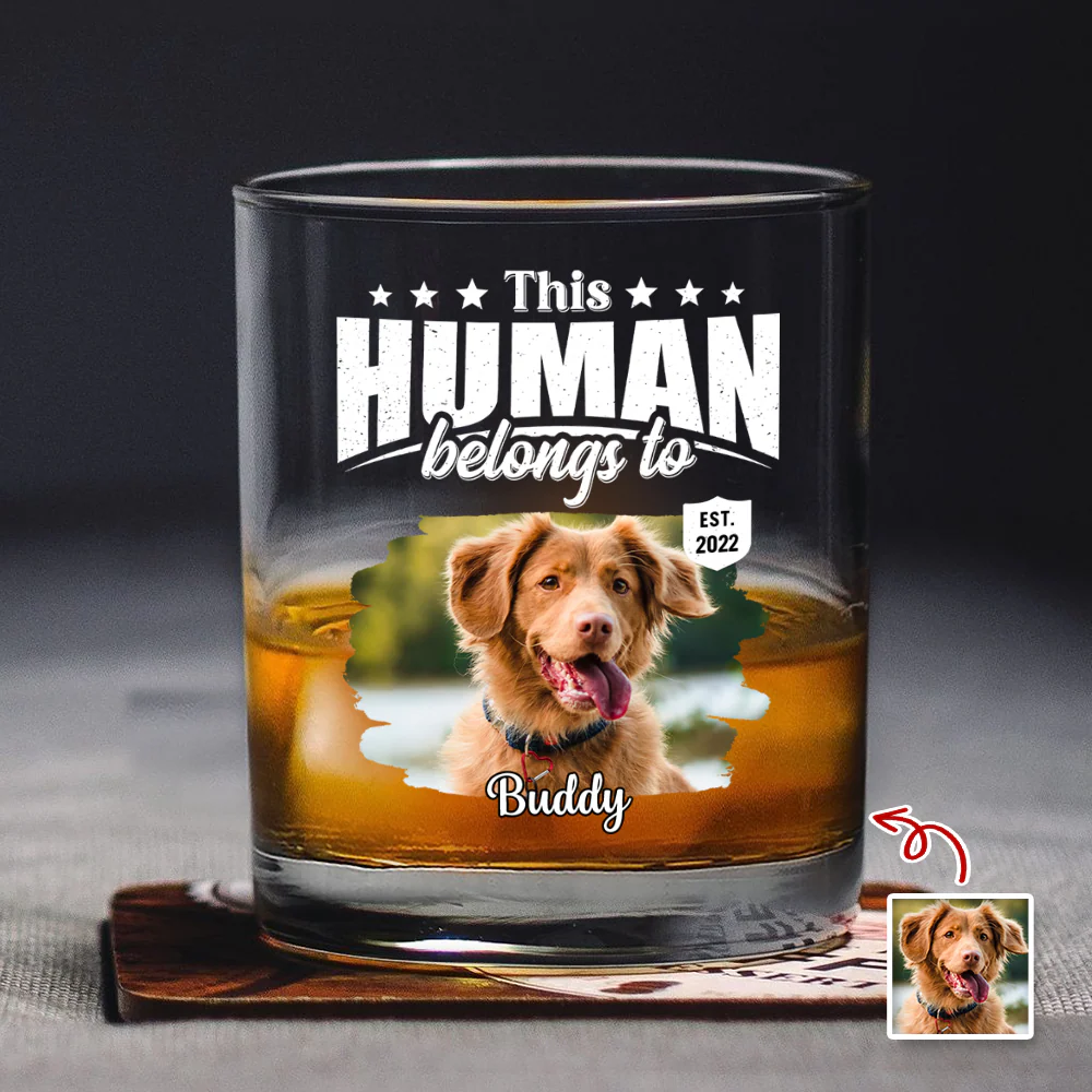 Custom Dog Cat Photo This Human Belongs To Rock Glass - Personalized Pet Lover Gift HA75 921368 - Image 5