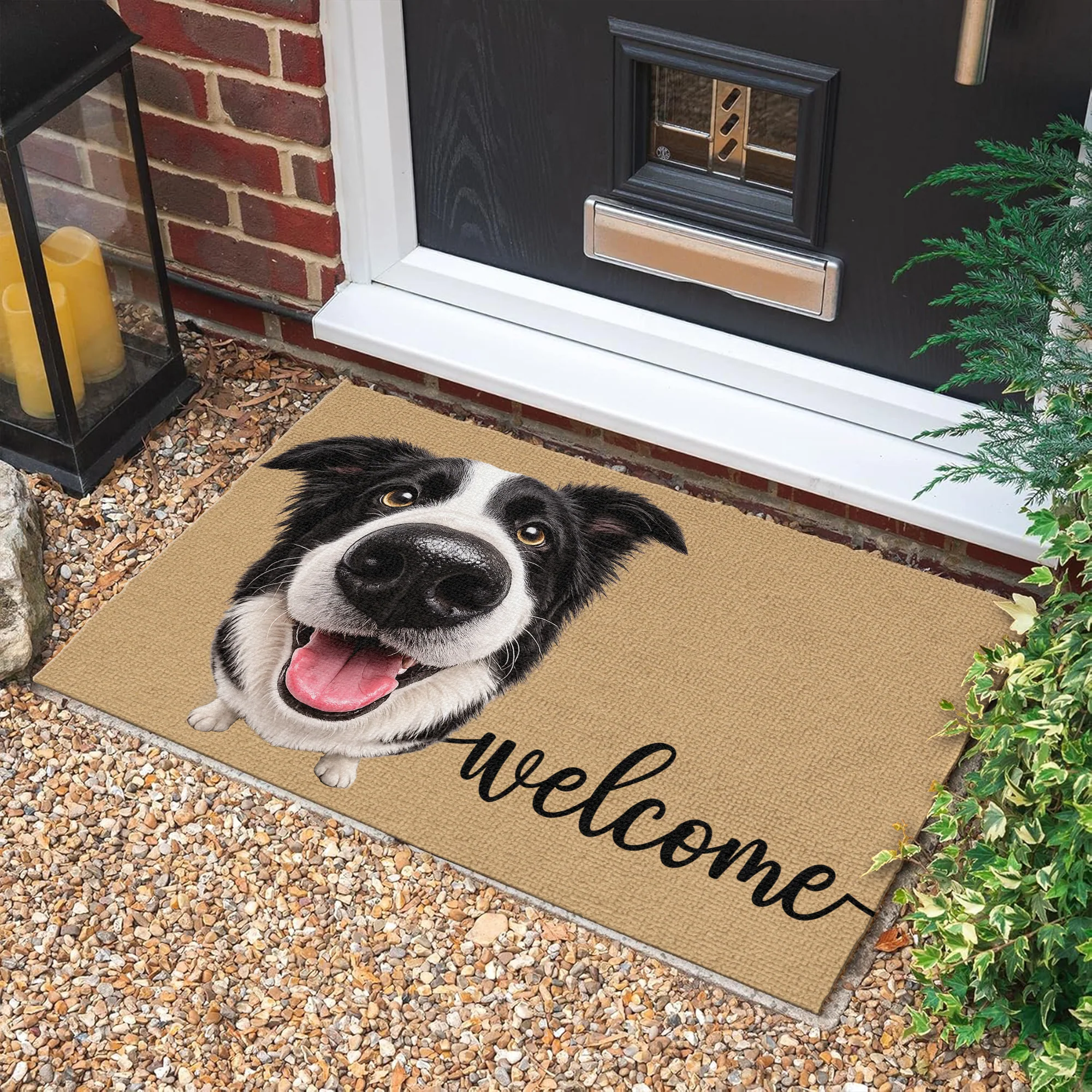 Custom Funny Pet Face Welcome Home Doormat - Personalized Gift For Pet Lovers CH07 911938 - Image 2