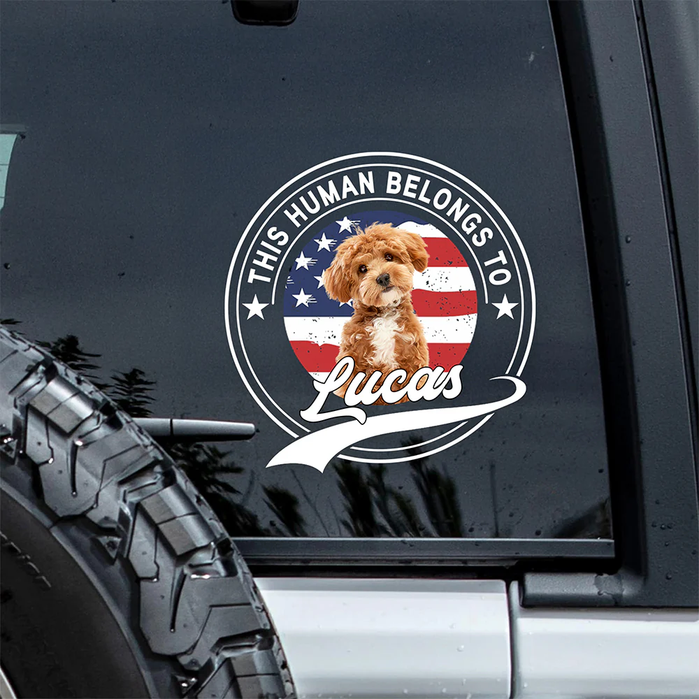 Custom Photo This Human Belongs To Dog Cat Personalized Car Window Decal Sticker HA75 921416 - Image 2