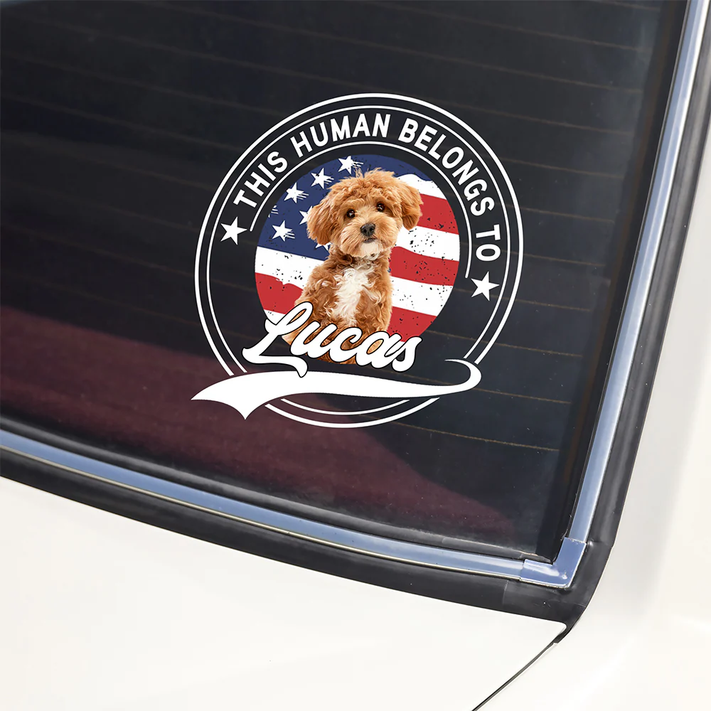 Custom Photo This Human Belongs To Dog Cat Personalized Car Window Decal Sticker HA75 921416 - Image 6