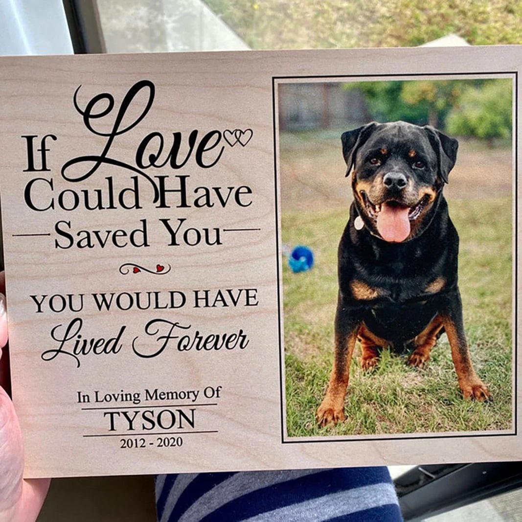 You Would Have Lived Forever Dog Memorial Gift Wooden Picture Upload Photo, HN590