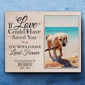 You Would Have Lived Forever Dog Memorial Gift Wooden Picture Upload Photo, HN590 - Image 5