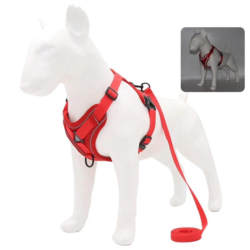 No Pull Dog Harness and Leash Set Adjustable Pet Harness Vest For Small Dogs Cats Reflective Mesh Dog Chest Strap French Bulldog - Image 2