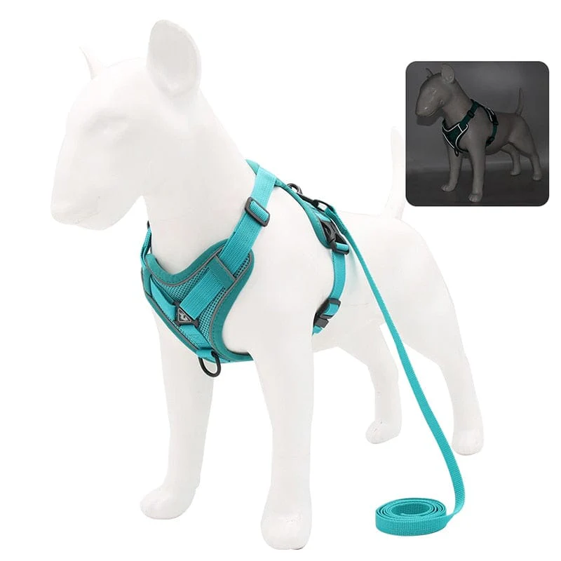 No Pull Dog Harness and Leash Set Adjustable Pet Harness Vest For Small Dogs Cats Reflective Mesh Dog Chest Strap French Bulldog - Image 5