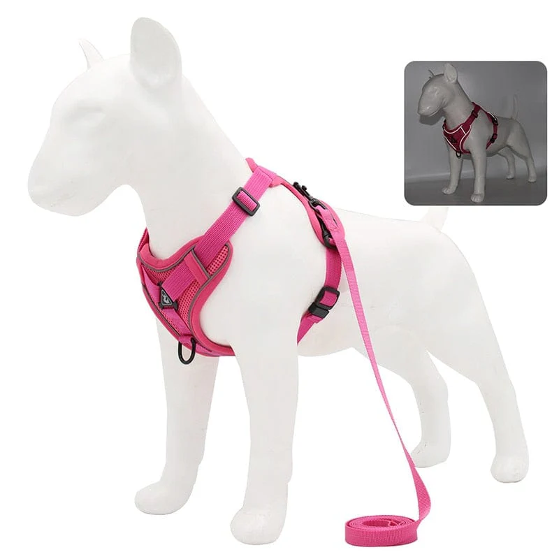 No Pull Dog Harness and Leash Set Adjustable Pet Harness Vest For Small Dogs Cats Reflective Mesh Dog Chest Strap French Bulldog - Image 6