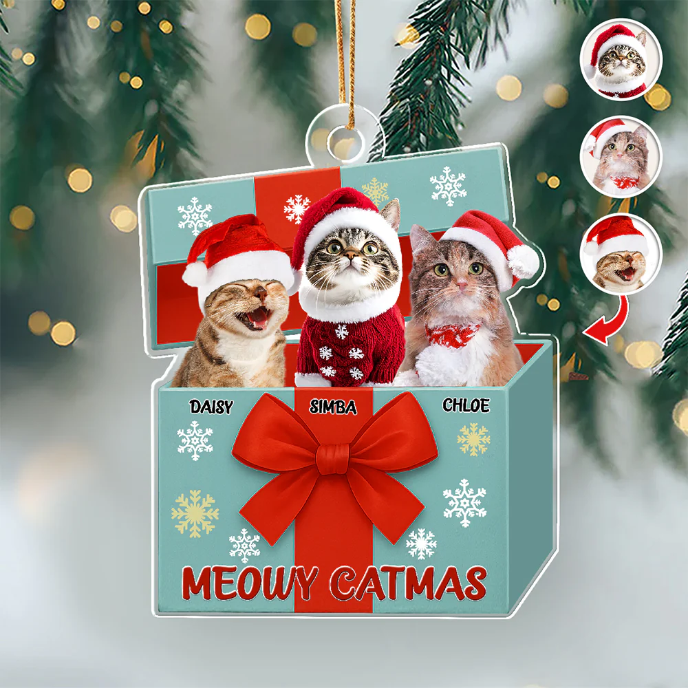 Custom Cat Photo Meowy Catmas Acrylic Ornament Gift For Cat Lovers HO82 900010 - Image 10
