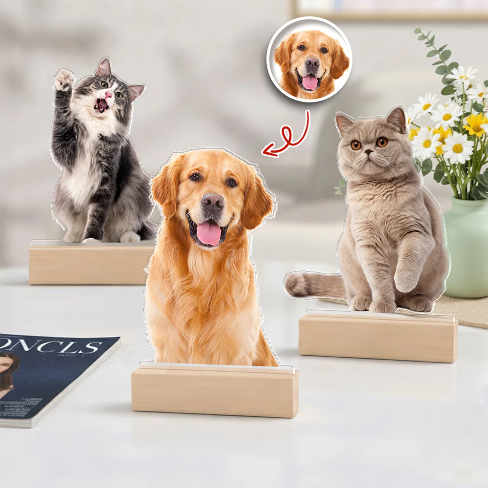 Custom Dog Cat Photo Acrylic Statuette, Gift for Pet Lovers HO82 901138 - Image 3