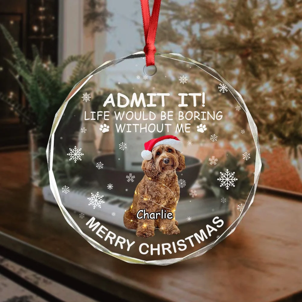 Custom Dog Cat Photo Life Would Be Boring Without Me Glass Circle Ornament HO82 893174 - Image 3