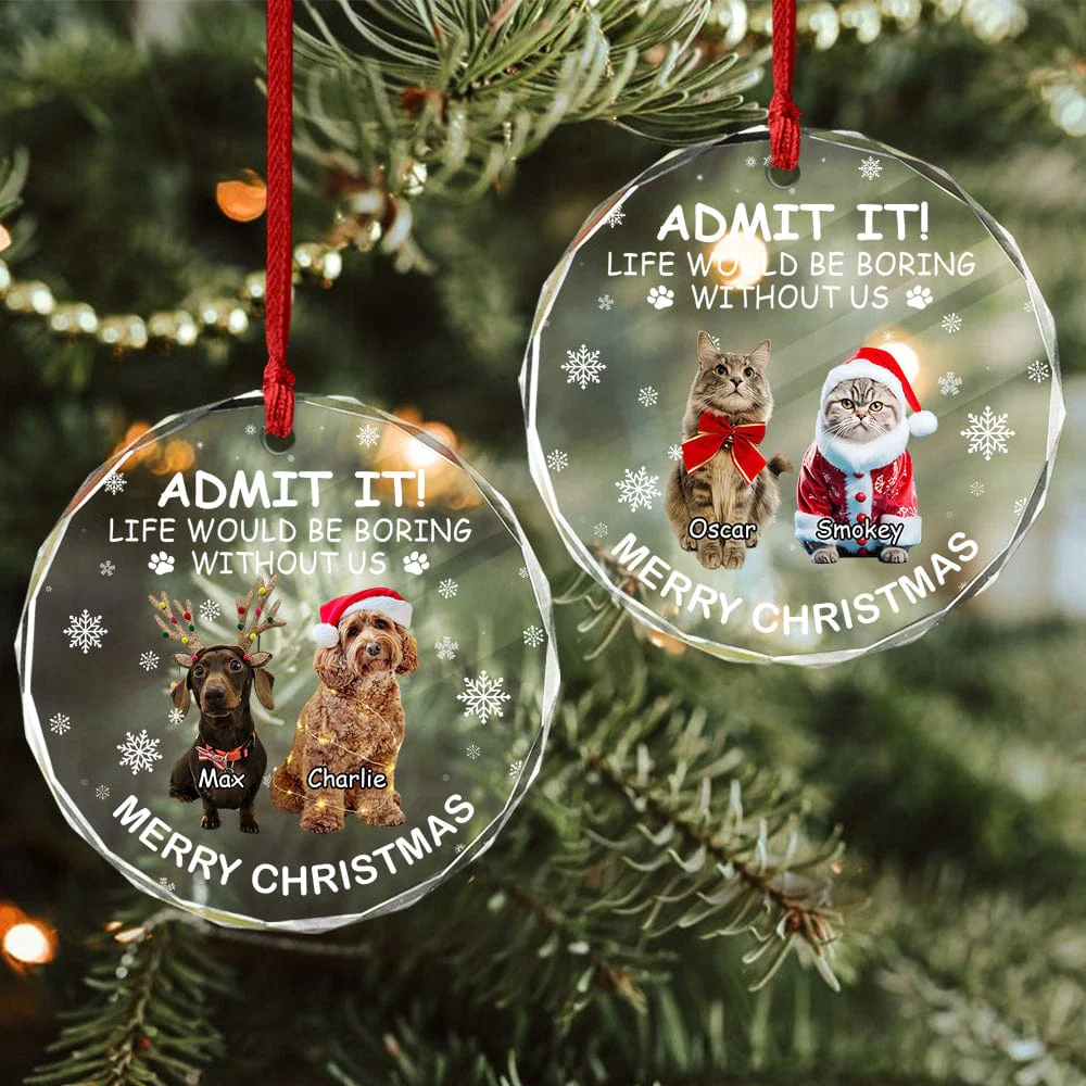 Custom Dog Cat Photo Life Would Be Boring Without Me Glass Circle Ornament HO82 893174 - Image 6