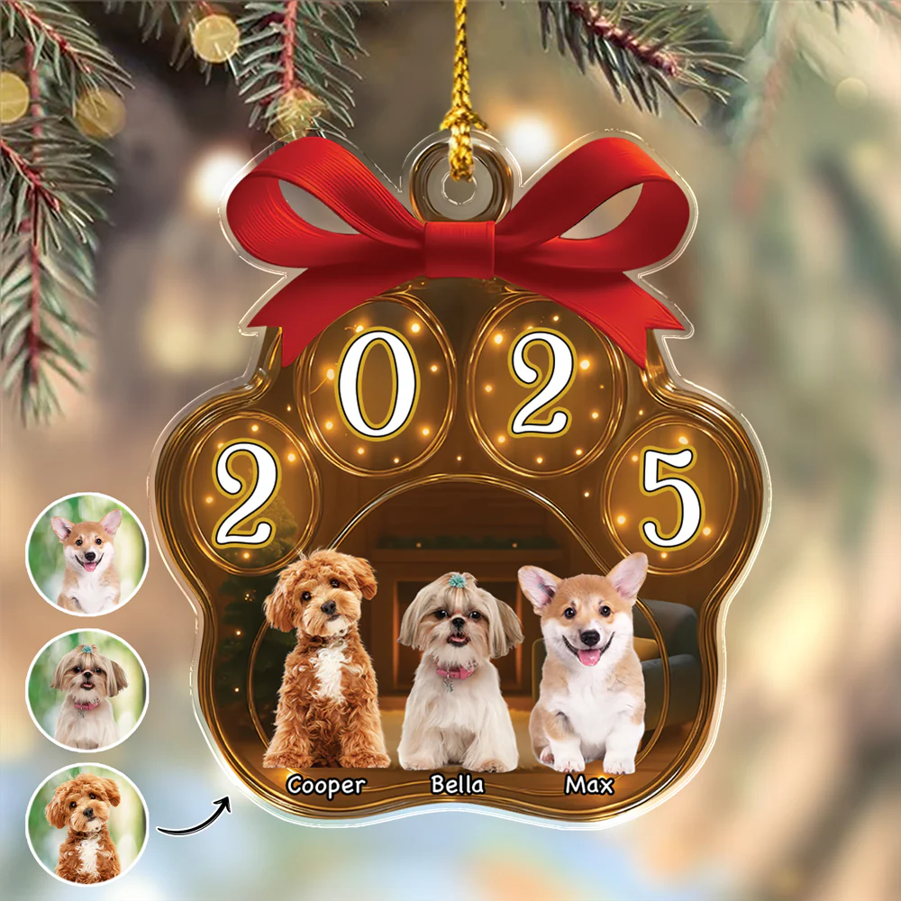Custom Dog Photo Christmas 2025 Acrylic Ornament Christmas HO82 894750 - Image 3