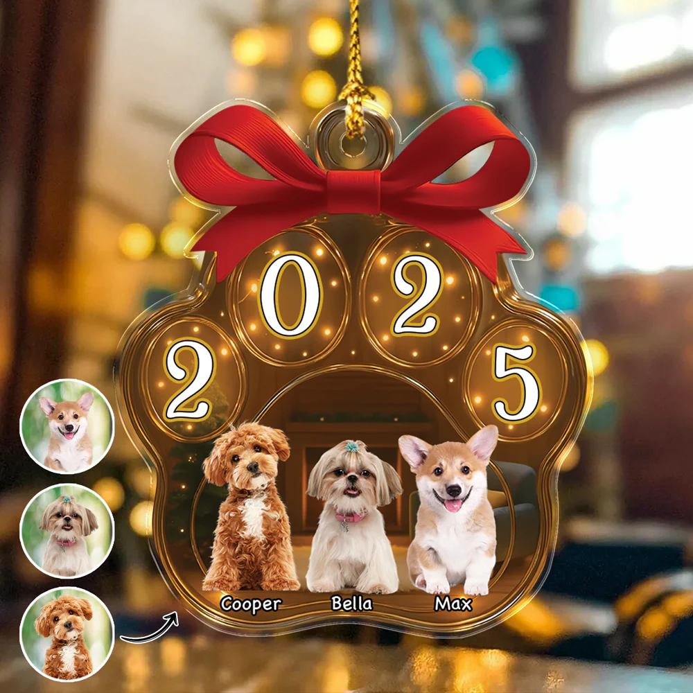 Custom Dog Photo Christmas 2025 Acrylic Ornament Christmas HO82 894750 - Image 6