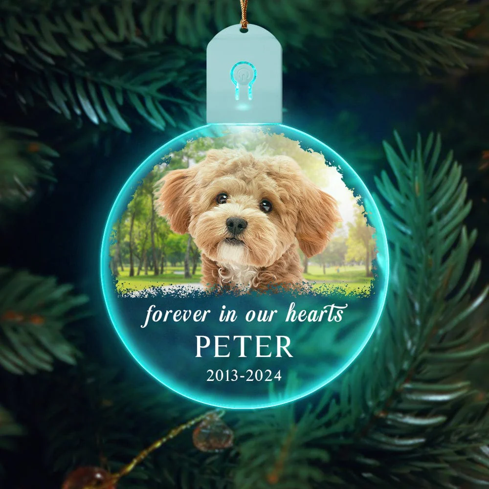 Custom Dog Photo Forever in Our Heart Memorial Circle Led Acrylic Ornament HO82 893216