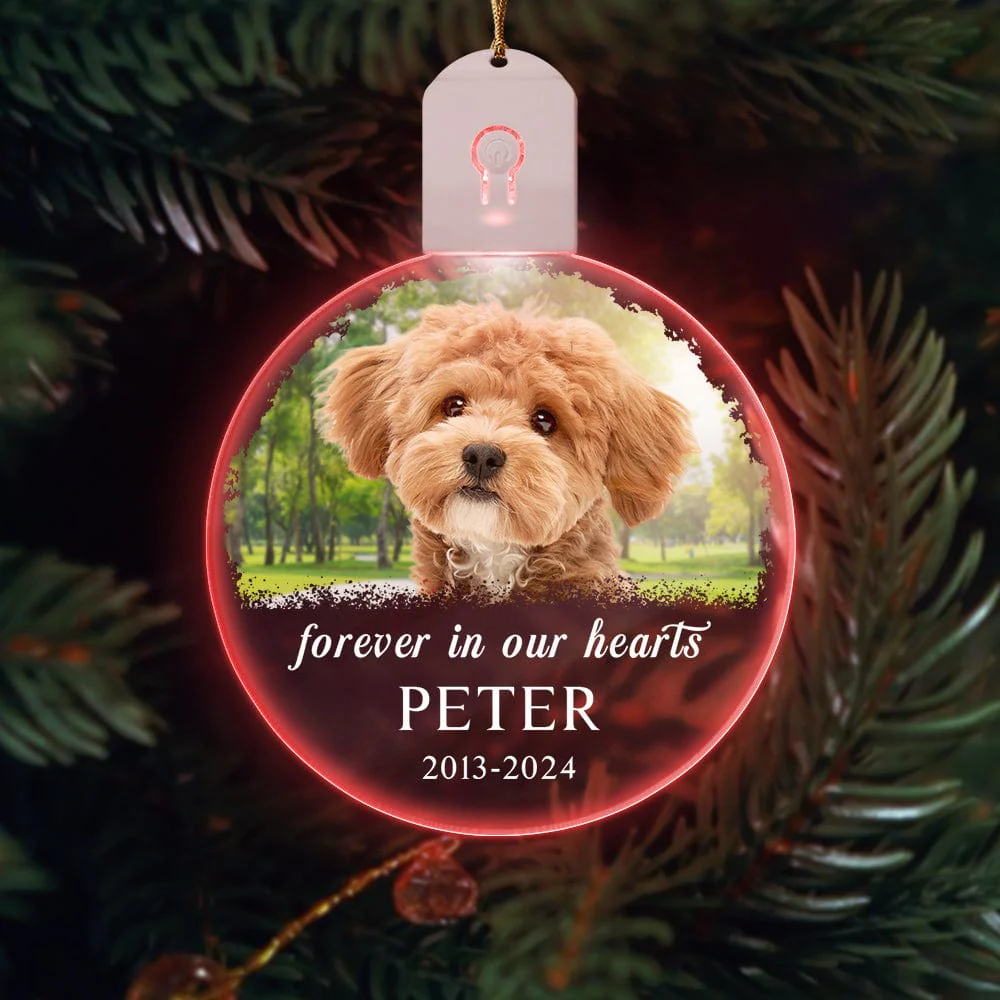 Custom Dog Photo Forever in Our Heart Memorial Circle Led Acrylic Ornament HO82 893216 - Image 2