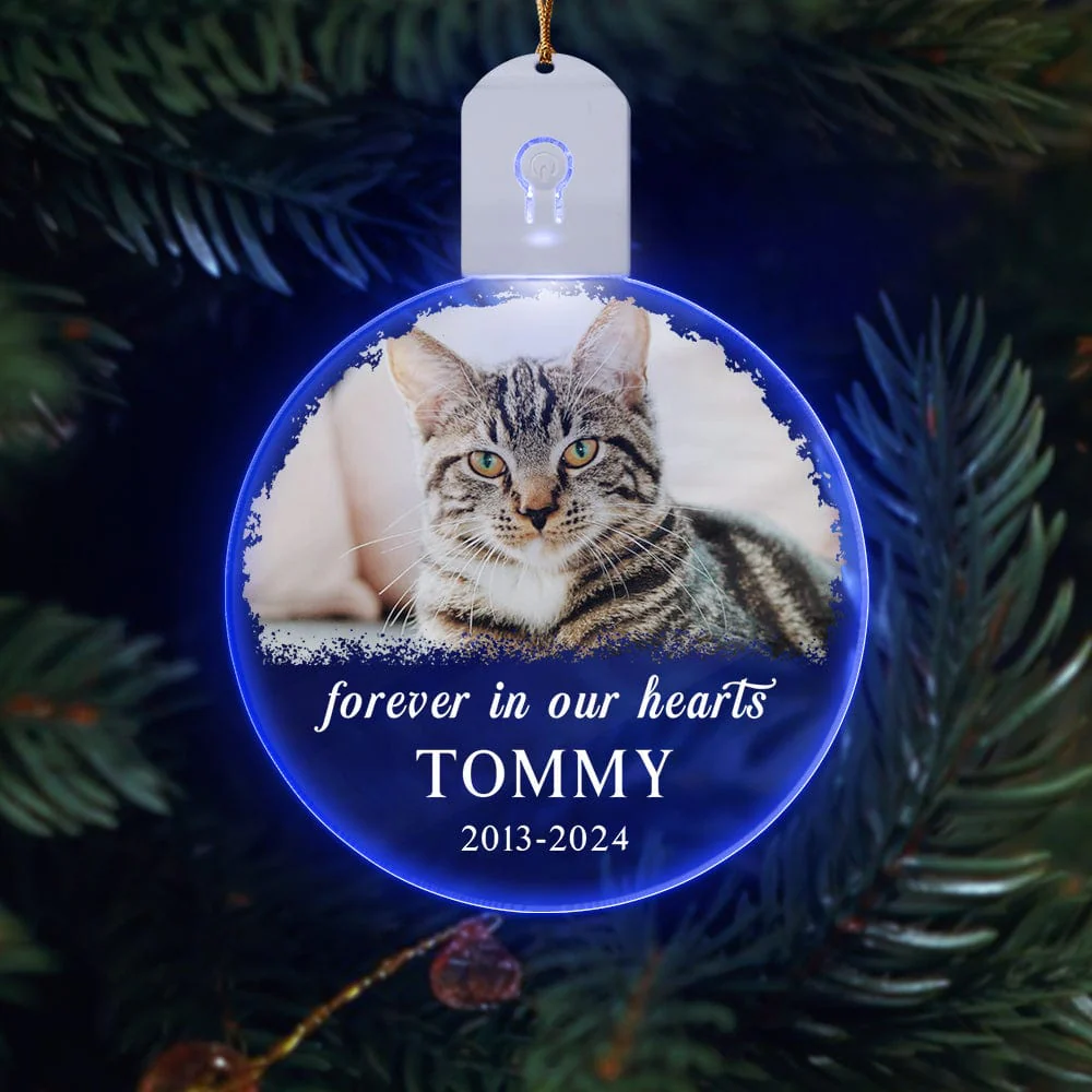 Custom Dog Photo Forever in Our Heart Memorial Circle Led Acrylic Ornament HO82 893216 - Image 3