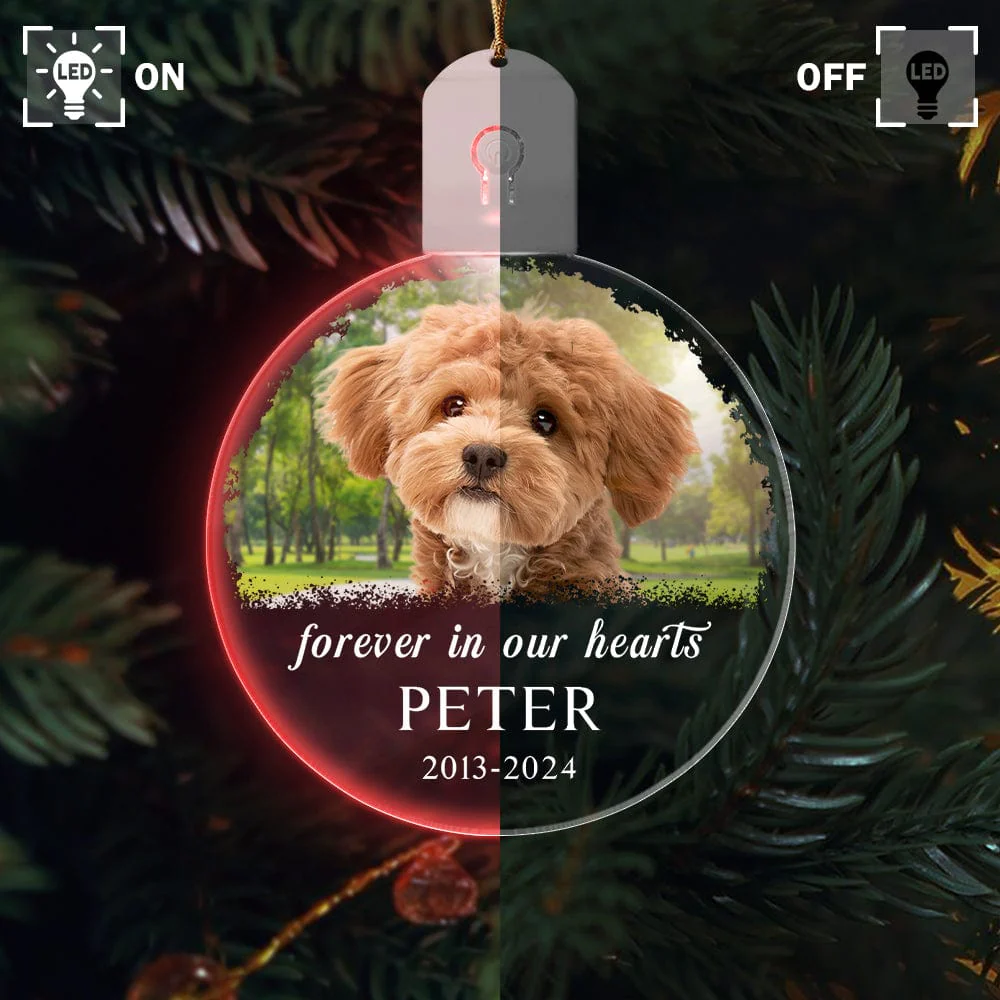 Custom Dog Photo Forever in Our Heart Memorial Circle Led Acrylic Ornament HO82 893216 - Image 4