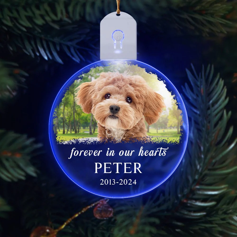 Custom Dog Photo Forever in Our Heart Memorial Circle Led Acrylic Ornament HO82 893216 - Image 6