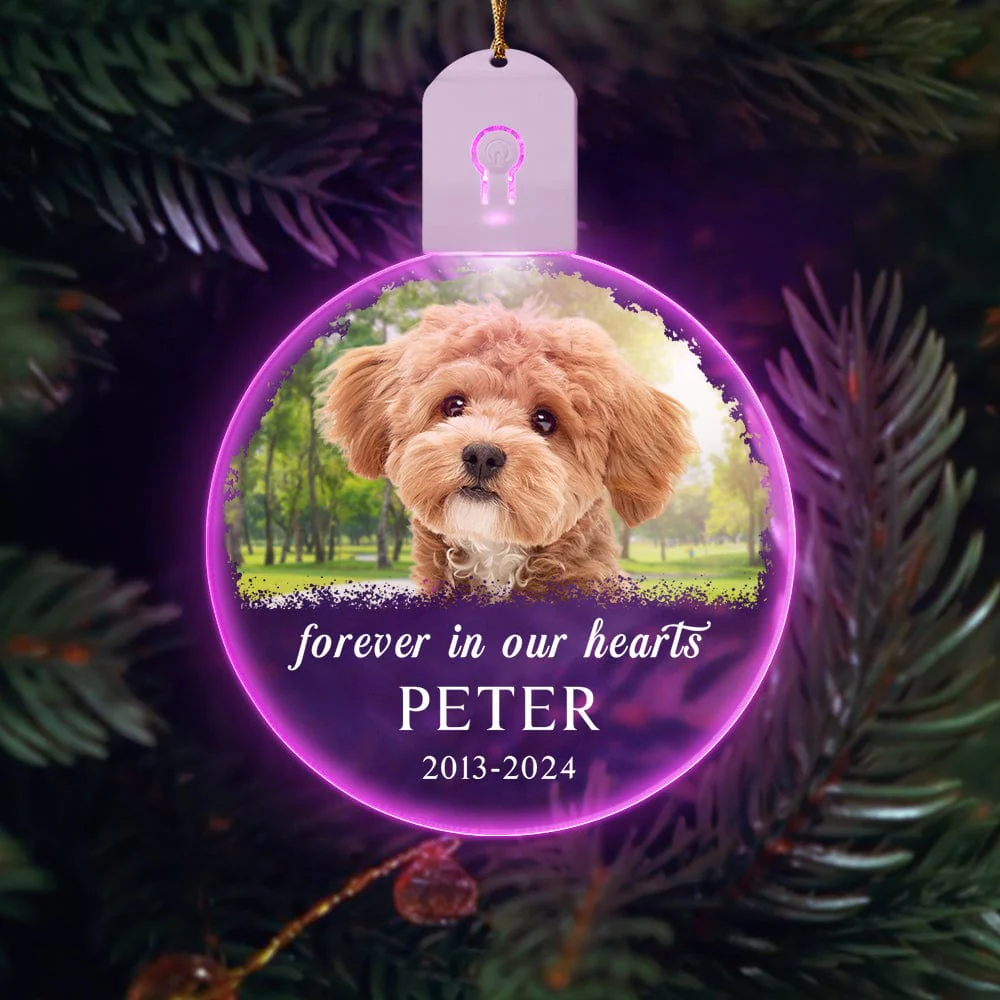 Custom Dog Photo Forever in Our Heart Memorial Circle Led Acrylic Ornament HO82 893216 - Image 7