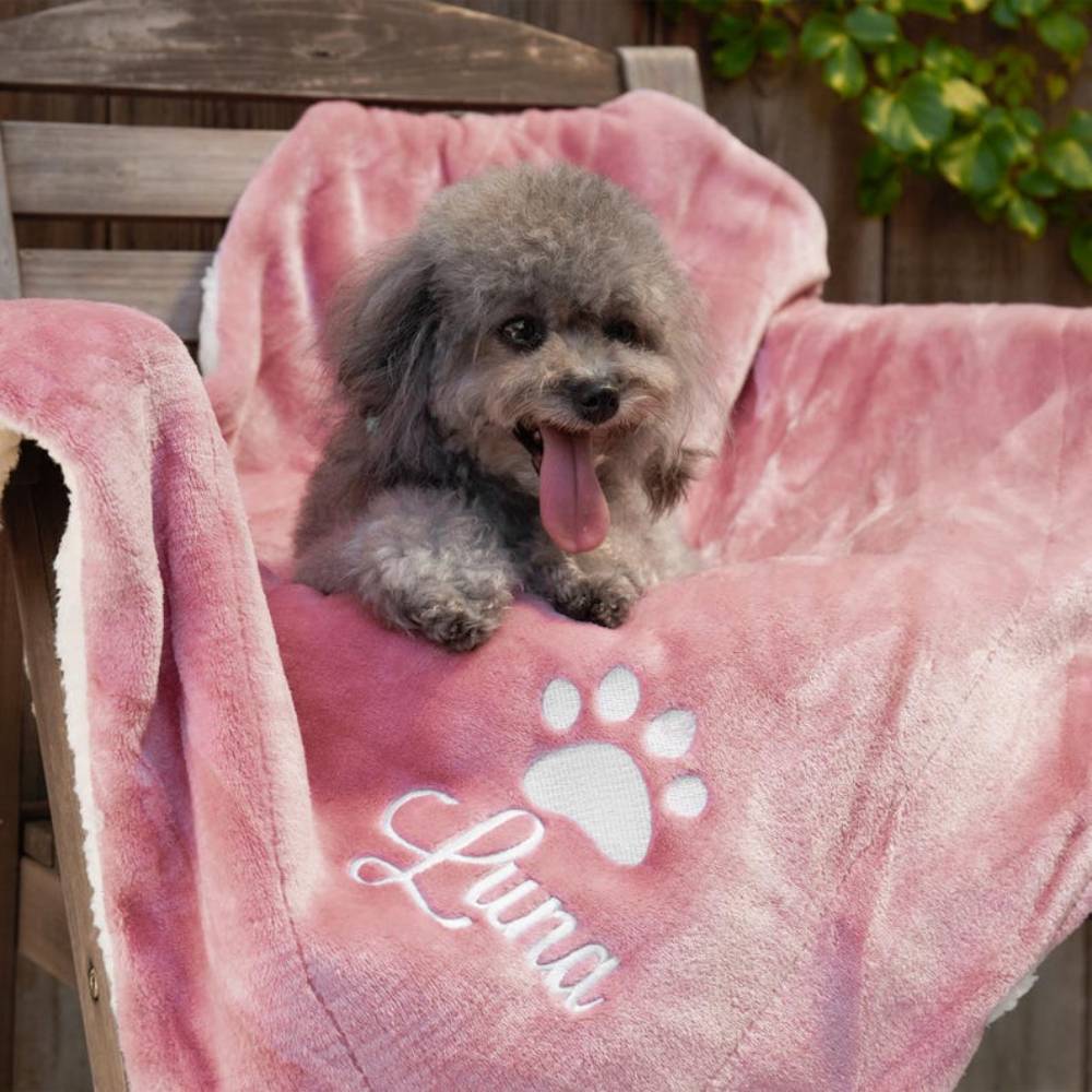 Custom Name Coming Home Gift New Puppy Embroidered Pet Blanket HO82 893196 - Image 2