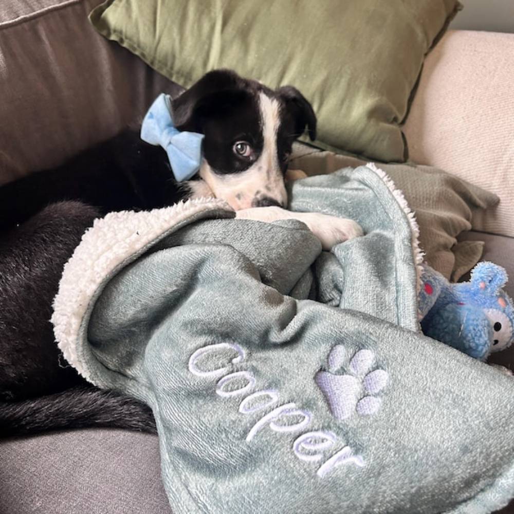 Custom Name Coming Home Gift New Puppy Embroidered Pet Blanket HO82 893196 - Image 3