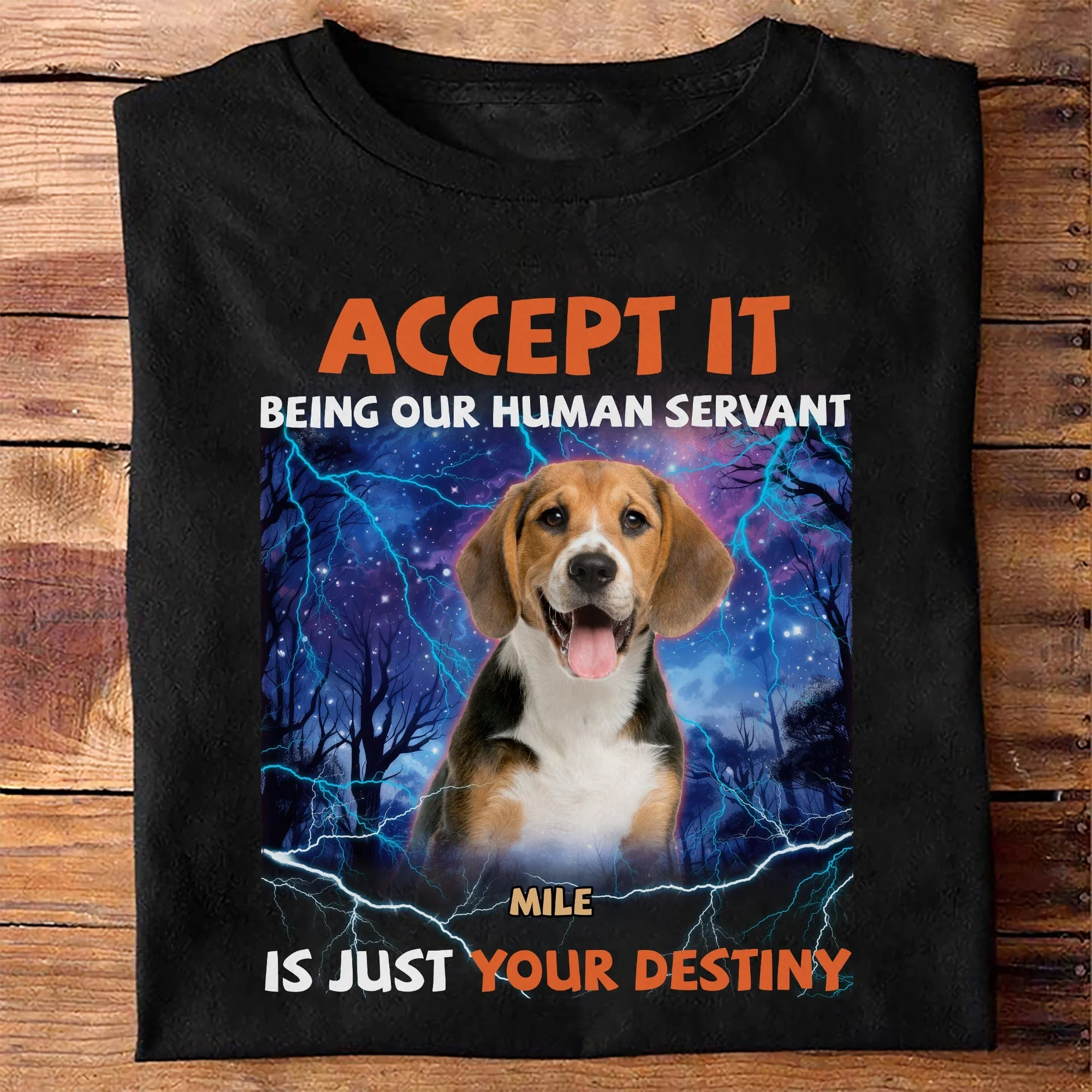 Custom Photo Accept It Being Our Human Servant Is Just Your Destiny Shirt HO82 891248 - Image 2
