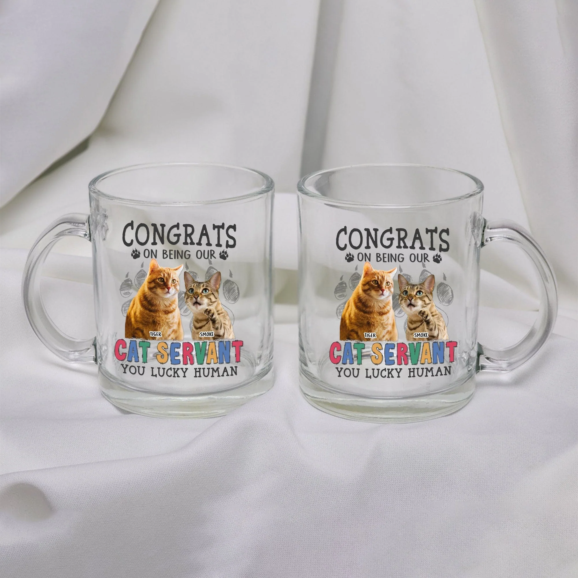 Custom Photo Congrats On Being Our Servant Cat Glass Mug HO82 891116 - Image 2