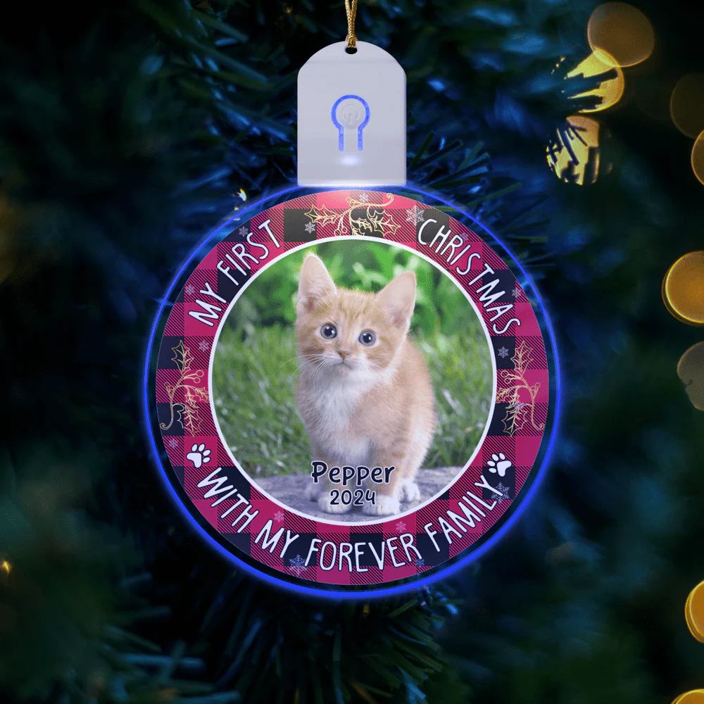 Custom Photo First Christmas Pet Lovers Circle Led Acrylic Ornament HO82 893306