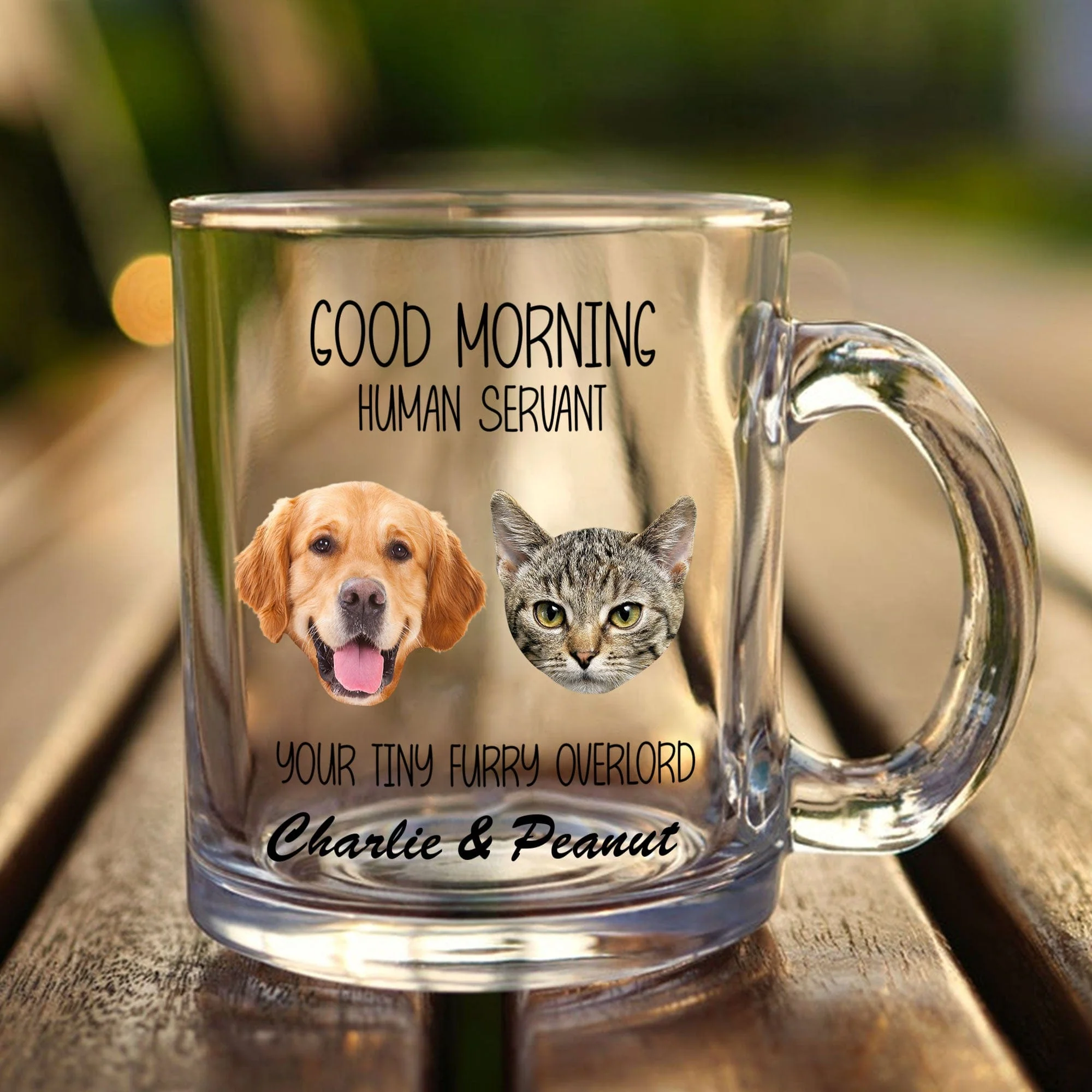 Custom Photo Good Morning Human Servant For Dog Cat Lovers Glass Mug HO82 891120