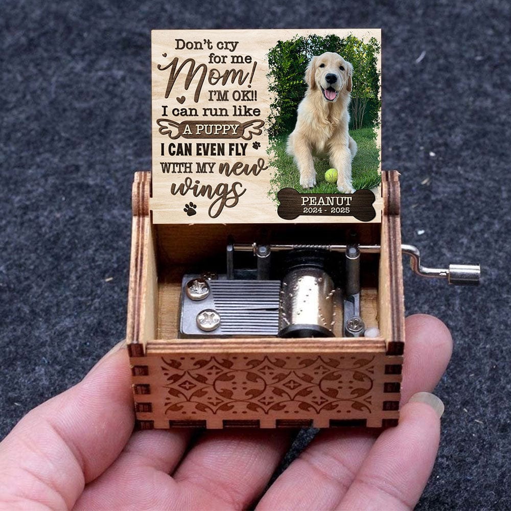 Custom Photo I Can Run With My New Wings Dog Cat Memorial Music Box HO82 893500 - Image 2