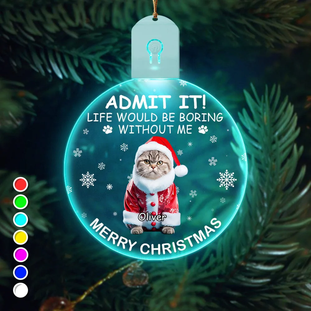 Custom Photo Life Would Be Boring Without Me Dog Cat Circle Led Acrylic Ornament HO82 893218