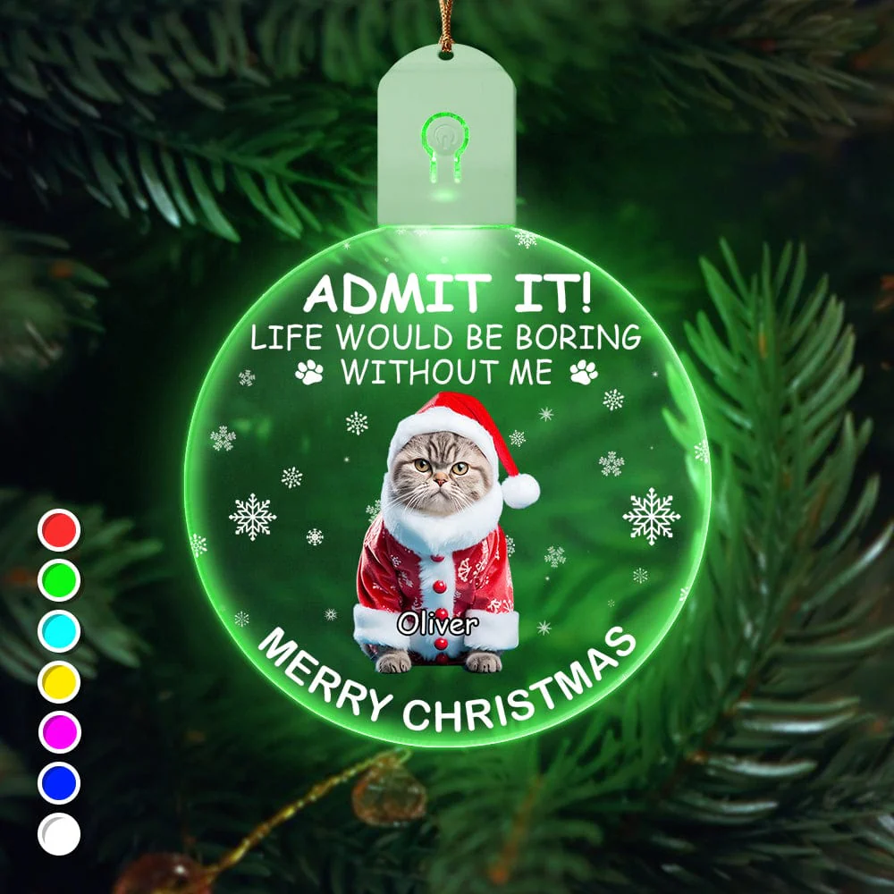 Custom Photo Life Would Be Boring Without Me Dog Cat Circle Led Acrylic Ornament HO82 893218 - Image 12