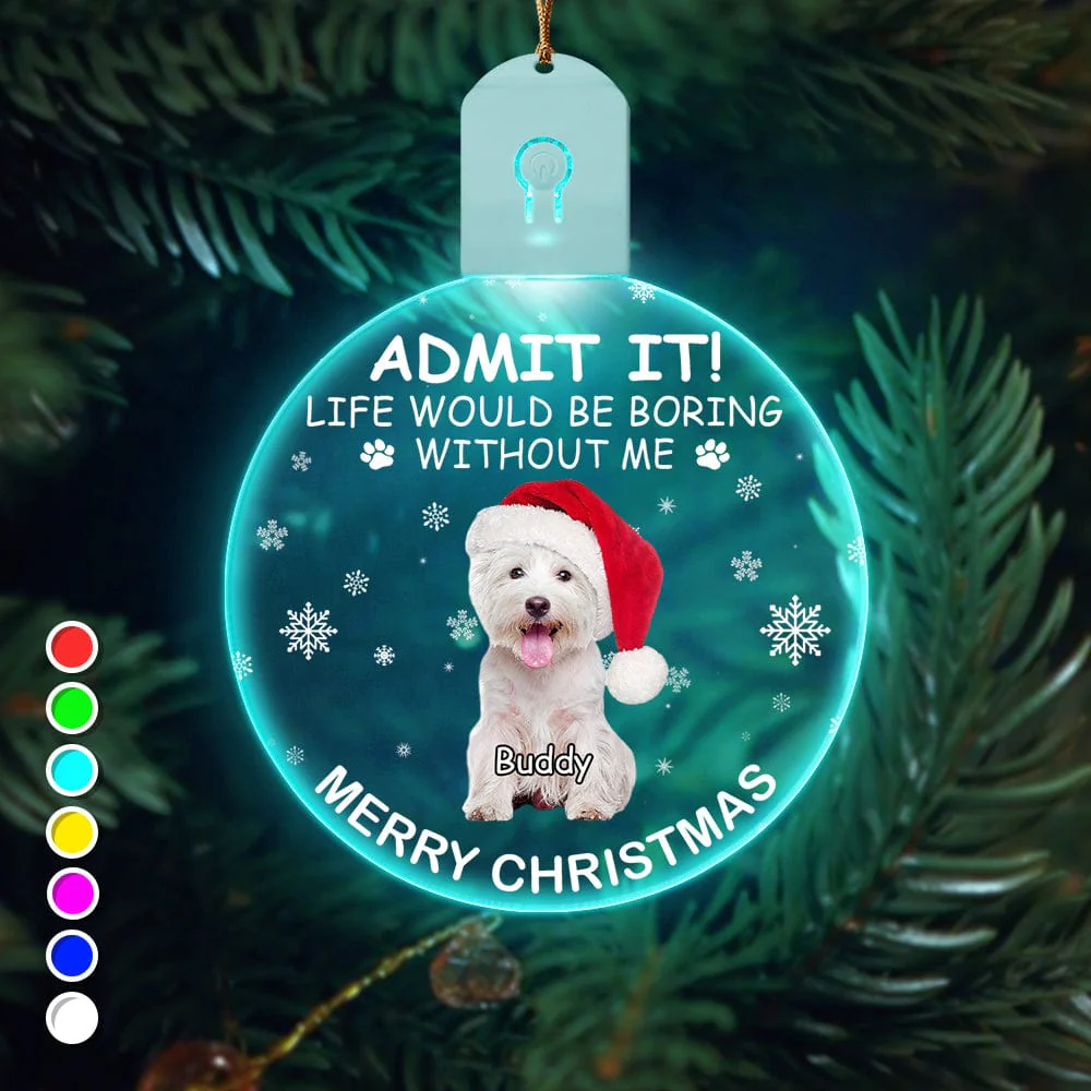 Custom Photo Life Would Be Boring Without Me Dog Cat Circle Led Acrylic Ornament HO82 893218 - Image 15
