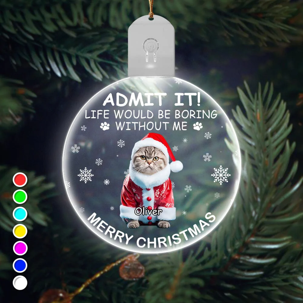 Custom Photo Life Would Be Boring Without Me Dog Cat Circle Led Acrylic Ornament HO82 893218 - Image 17