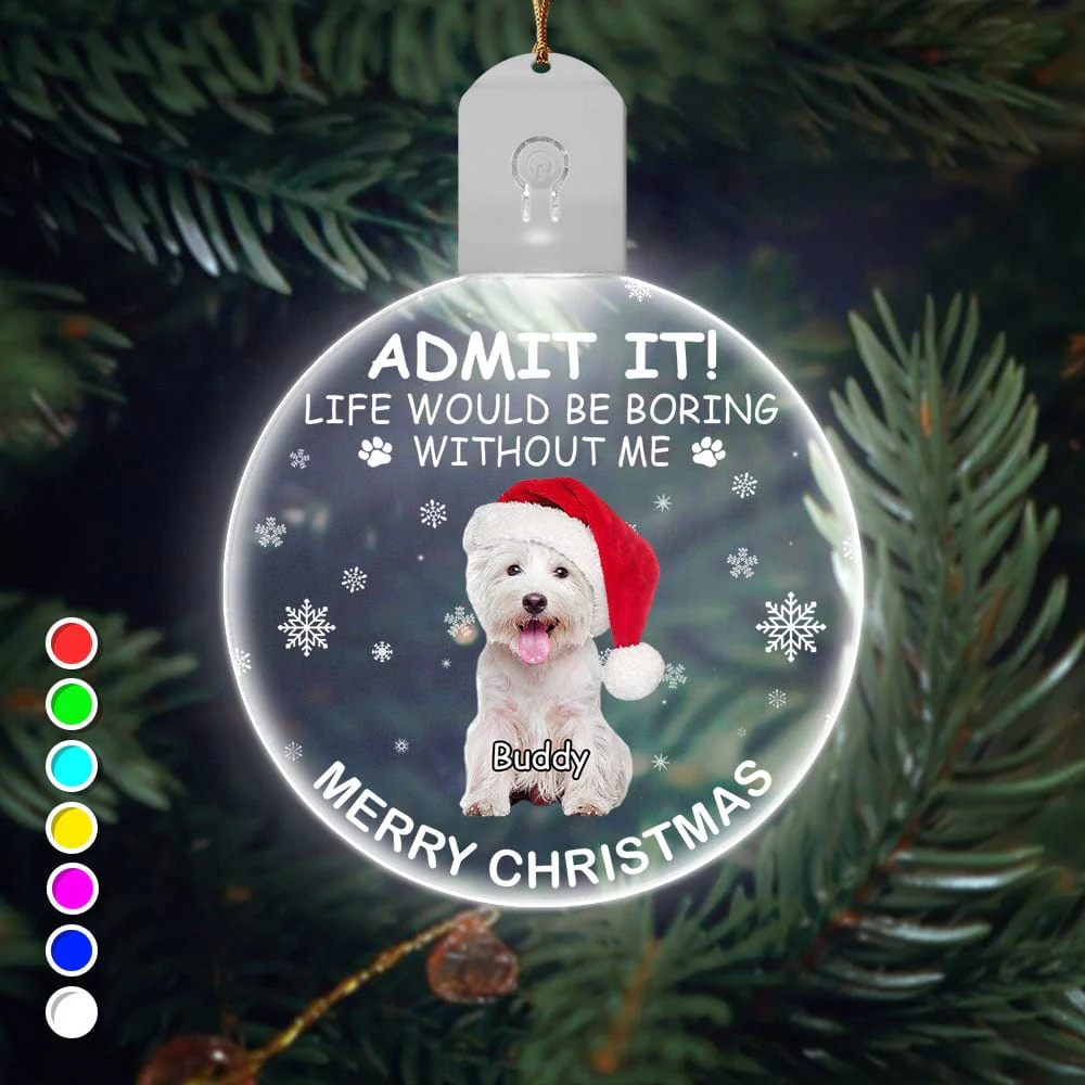 Custom Photo Life Would Be Boring Without Me Dog Cat Circle Led Acrylic Ornament HO82 893218 - Image 18