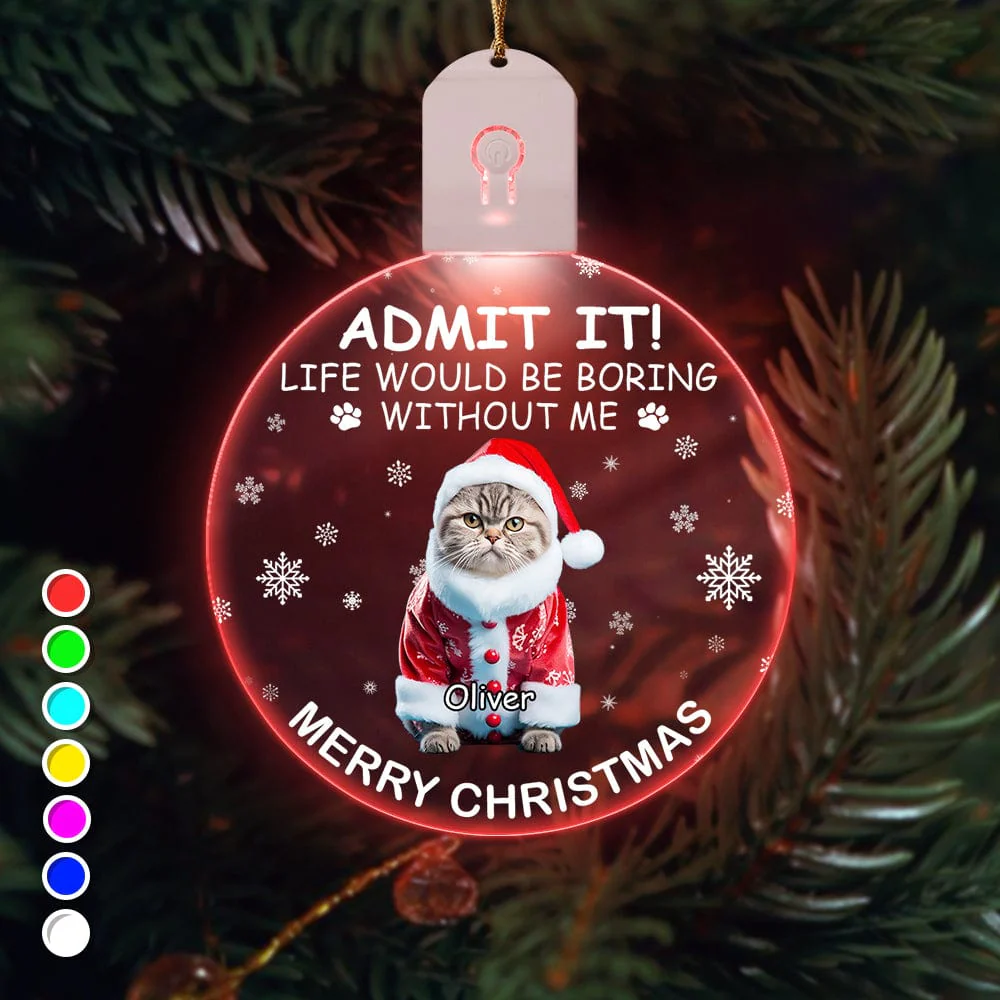 Custom Photo Life Would Be Boring Without Me Dog Cat Circle Led Acrylic Ornament HO82 893218 - Image 2