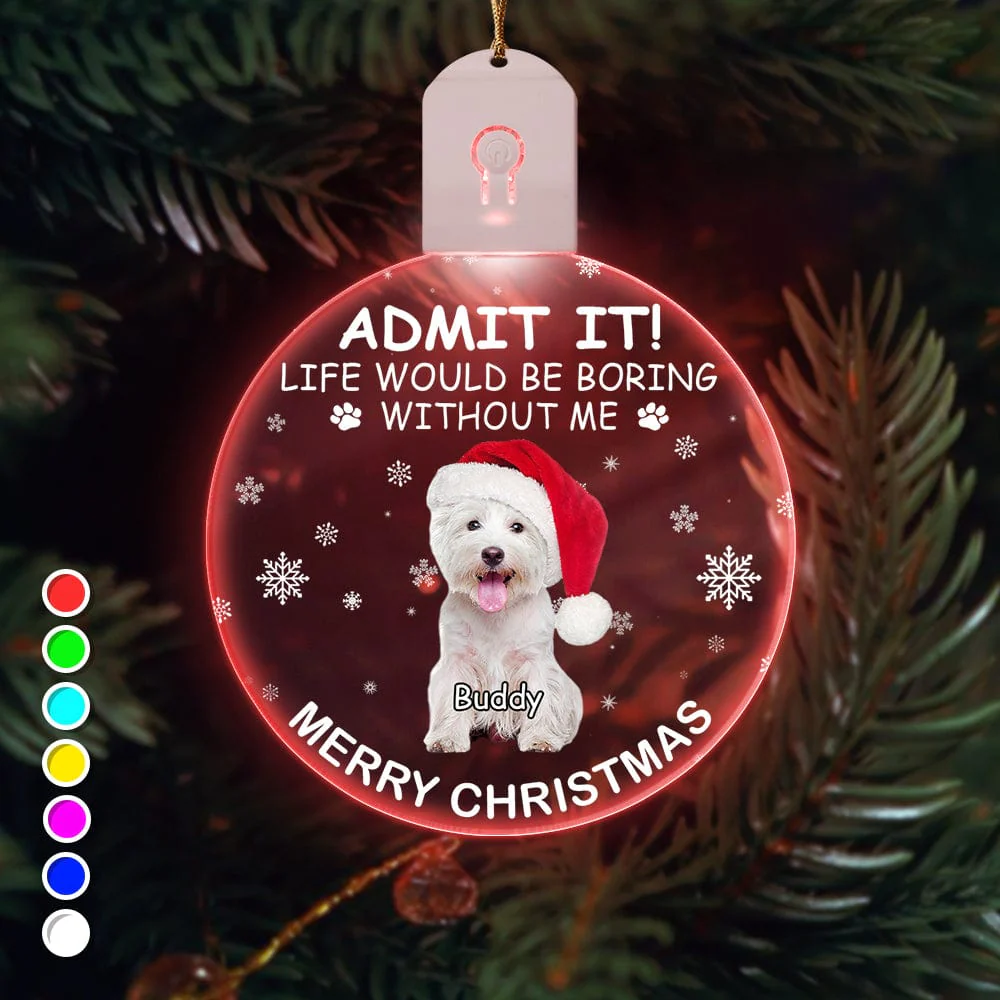 Custom Photo Life Would Be Boring Without Me Dog Cat Circle Led Acrylic Ornament HO82 893218 - Image 22
