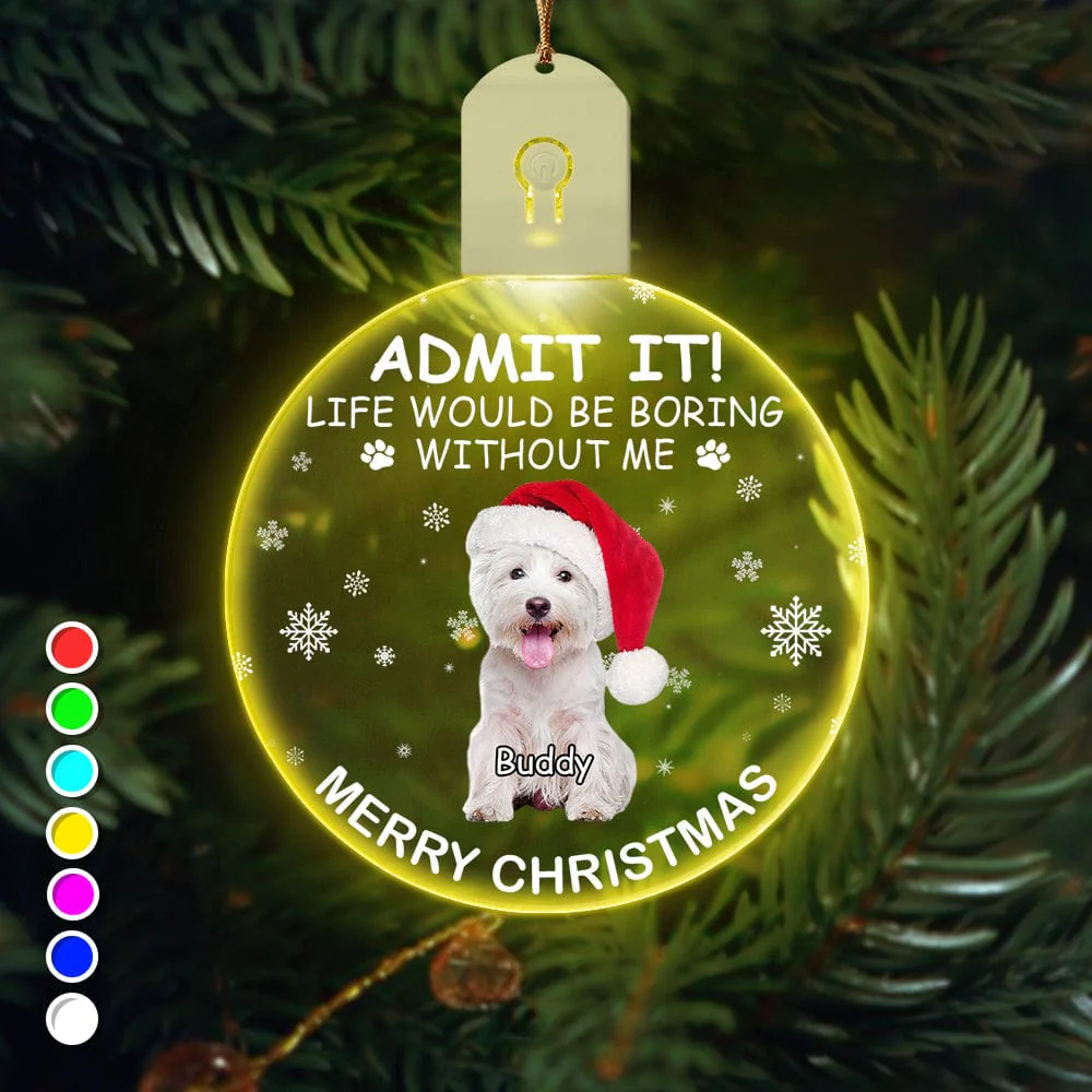 Custom Photo Life Would Be Boring Without Me Dog Cat Circle Led Acrylic Ornament HO82 893218 - Image 3