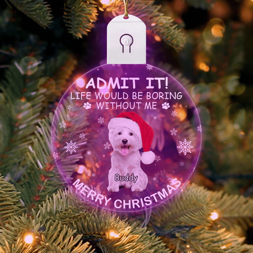 Custom Photo Life Would Be Boring Without Me Dog Cat Circle Led Acrylic Ornament HO82 893218 - Image 7