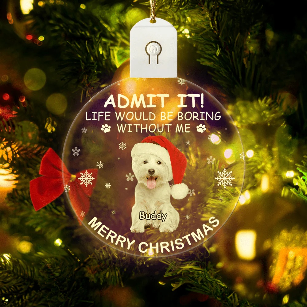 Custom Photo Life Would Be Boring Without Me Dog Cat Circle Led Acrylic Ornament HO82 893218 - Image 8
