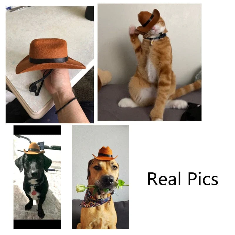 Western Cowboy Halloween Dog Cat Costume - Image 2