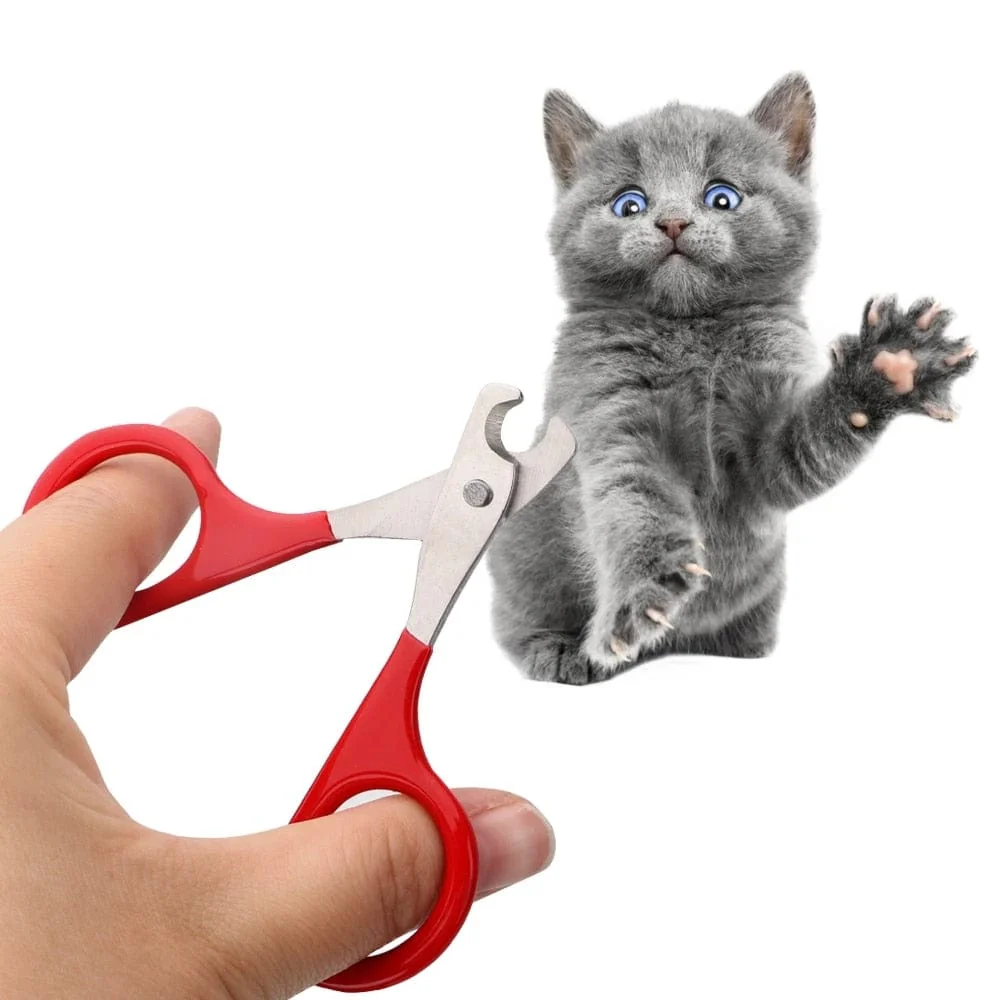 Professional  Dog Cat Nail Clippers - Image 6