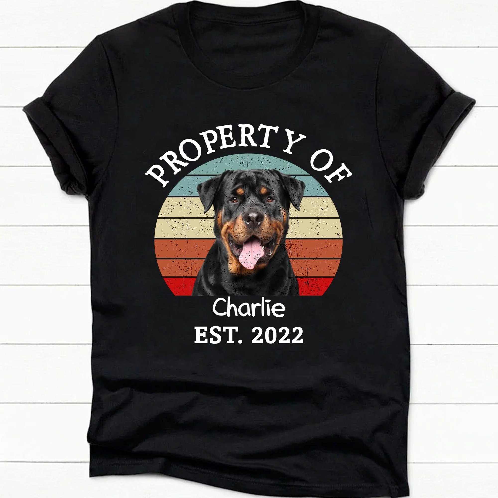 Property Of Vintage Retro Photo Shirt, Personalized Custom Photo Dog Shirt H470