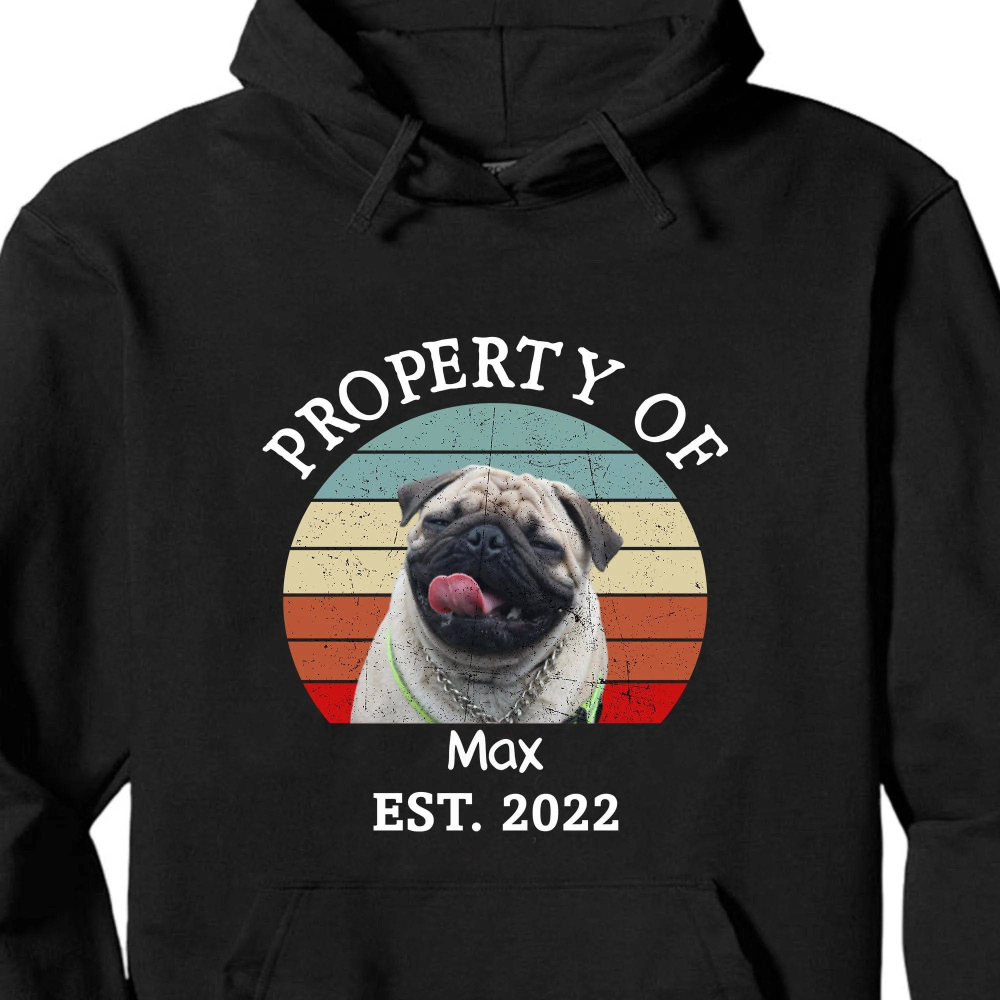 Property Of Vintage Retro Photo Shirt, Personalized Custom Photo Dog Shirt H470 - Image 4